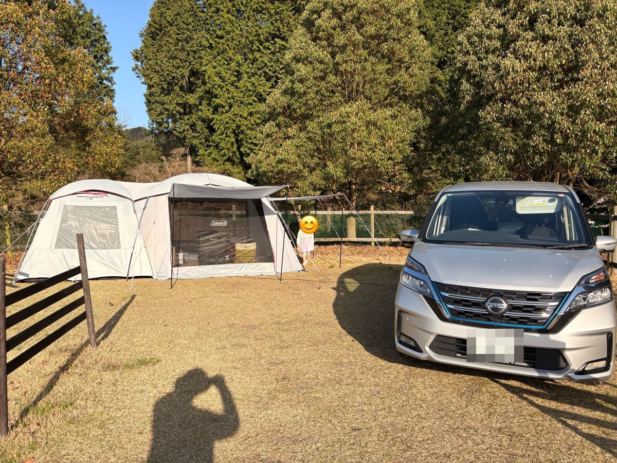 芝生のサイトに、テントと車が並んでいるところ