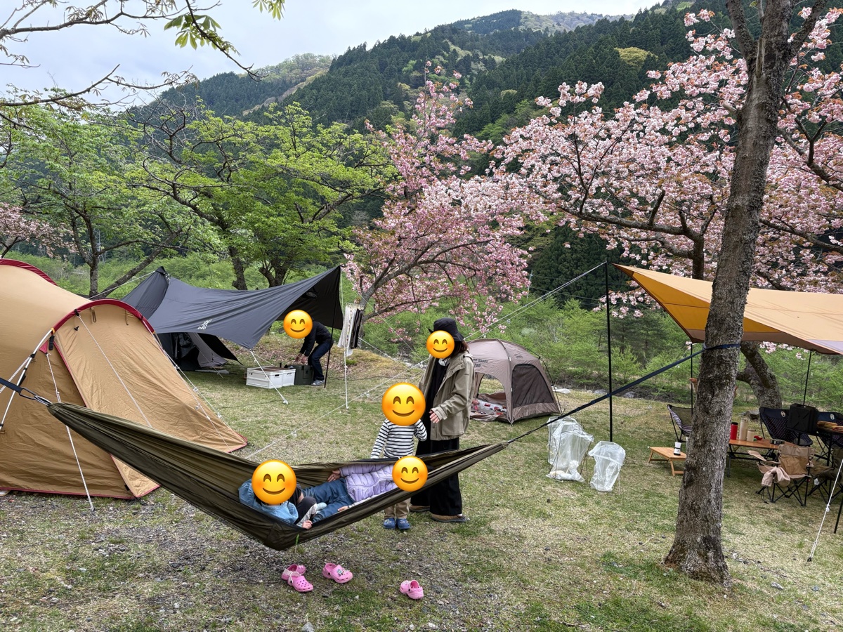 桜の咲くキャンプ場で、ハンモックに子どもが寝転がっているところ