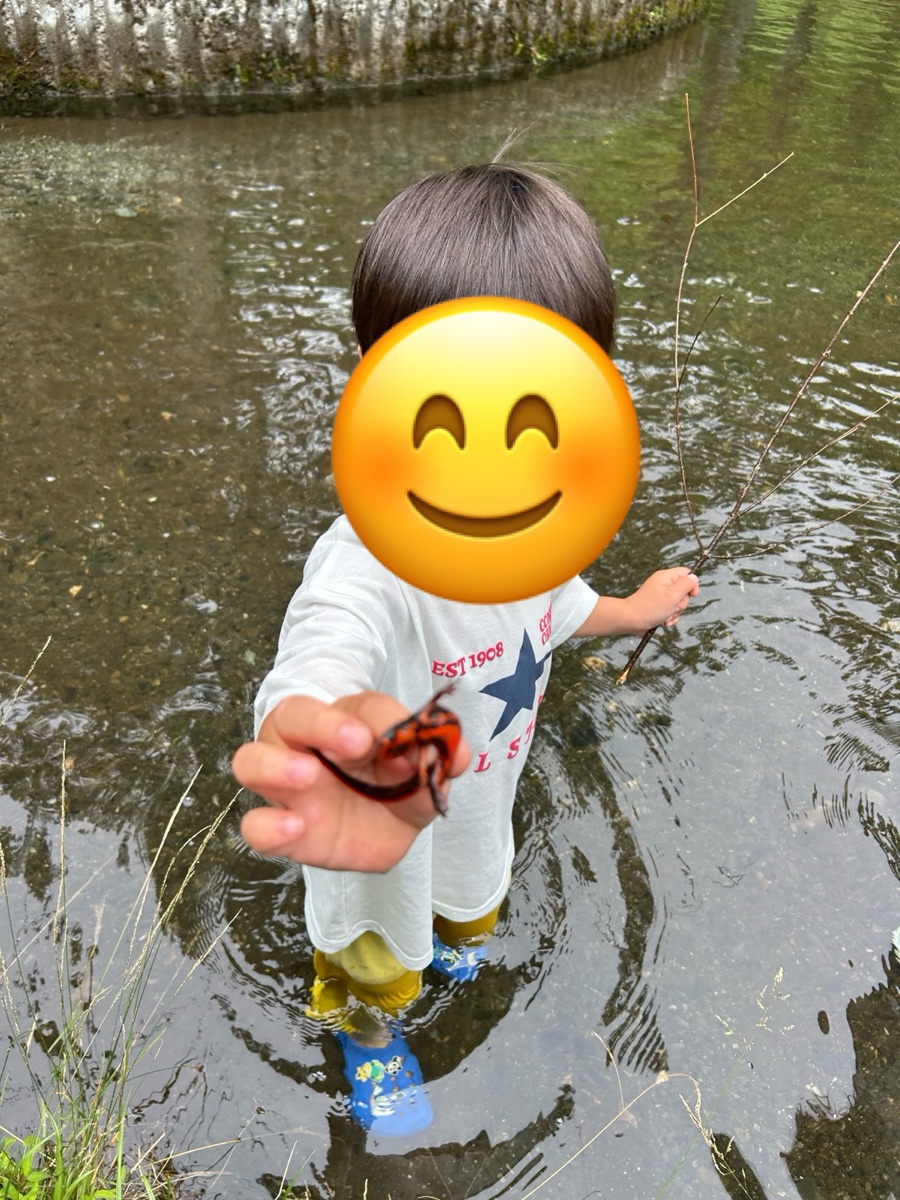 川の中で、アカハライモリを手にのせて見せる男の子